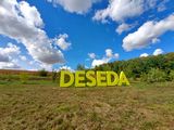Deseda-t